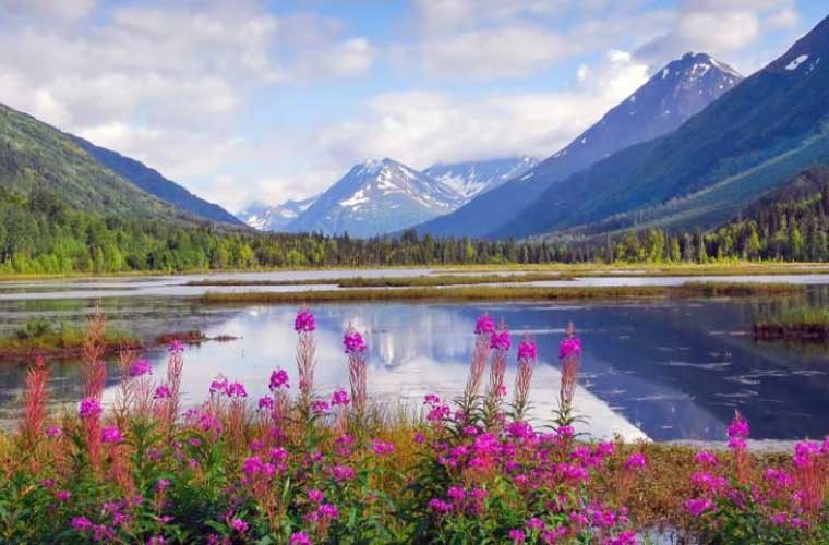 Dòng sông Kenai ở bang Alaska, Mỹ là địa điểm lý tưởng để câu cá, chèo thuyền kayak. Là một trong những  dòng sông đẹp nhất thế giới, Kenai chạy ra từ hướng phía tây của dãy núi cùng tên và đổ ra Ấn Độ Dương.